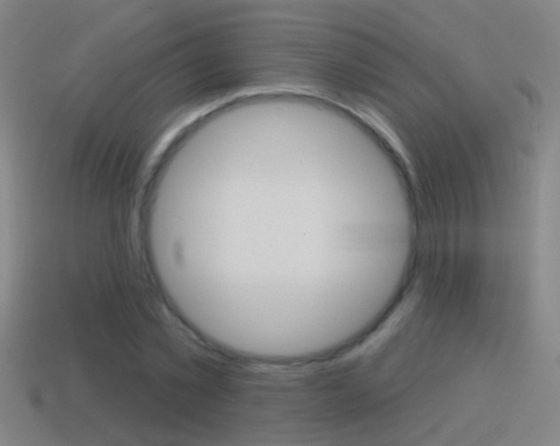 X0000114610781200910200939