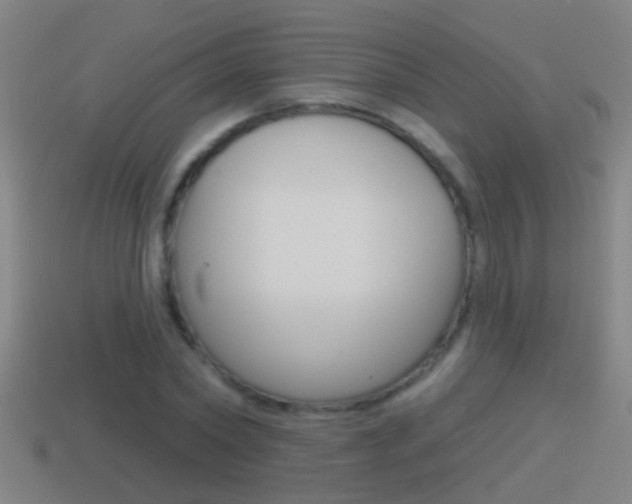 X0000114610782200910200939