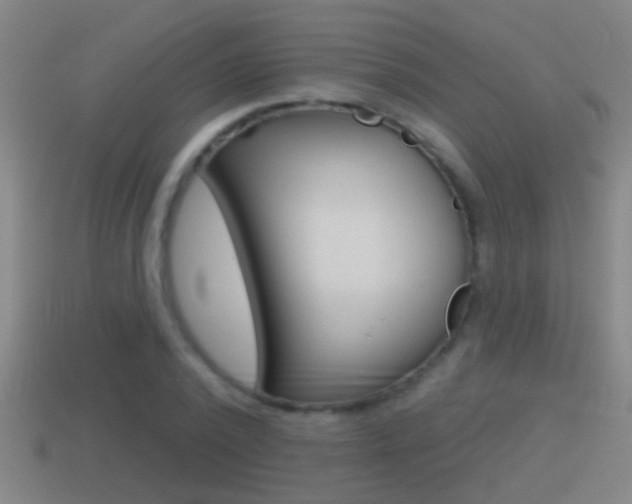 X0000114610784200910200939