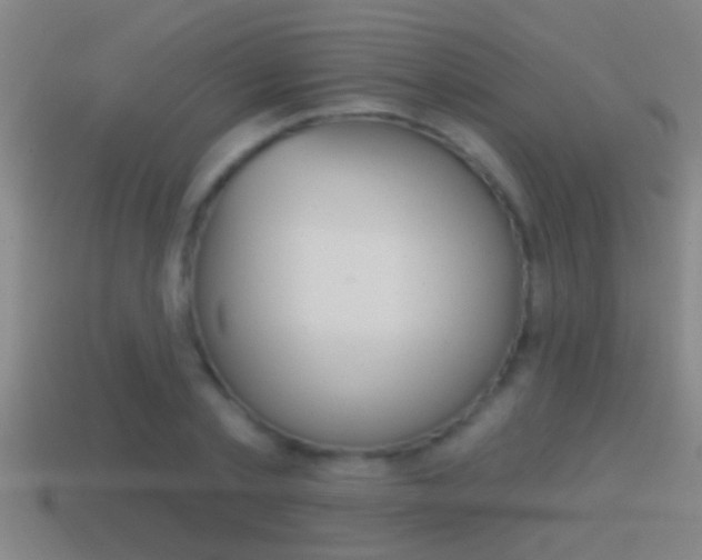 X0000114610789200910200939