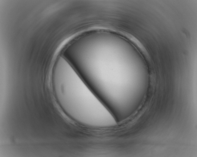 X0000114610791200910200939