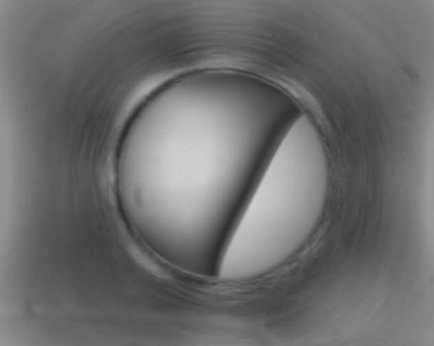 X0000114610792200910200939