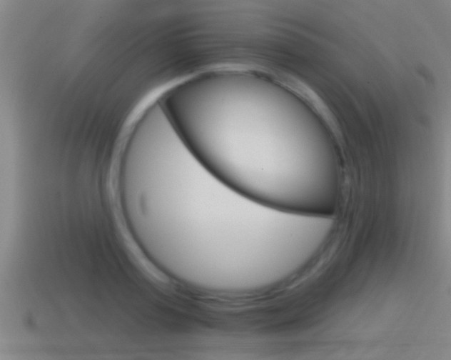 X0000114610795200910200939