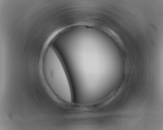 X0000114610796200910200939