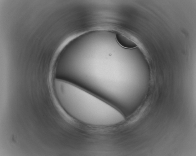 X0000114610803200910200939