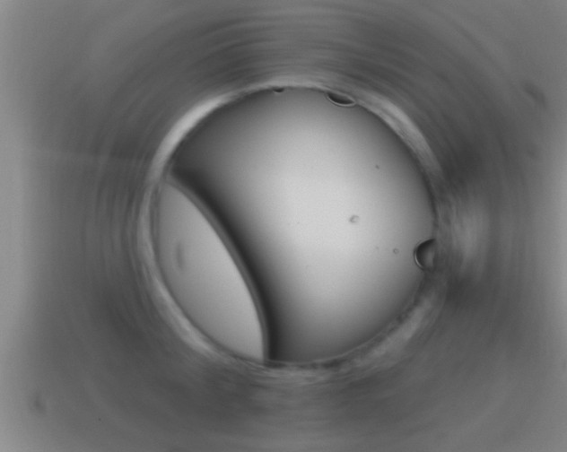 X0000114610804200910200939