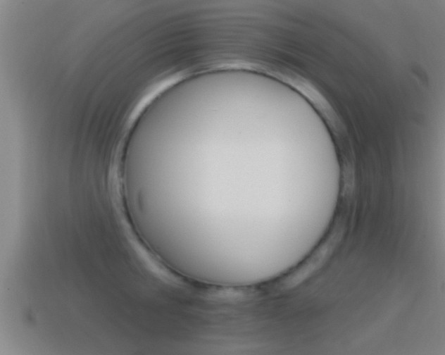 X0000114610806200910200939