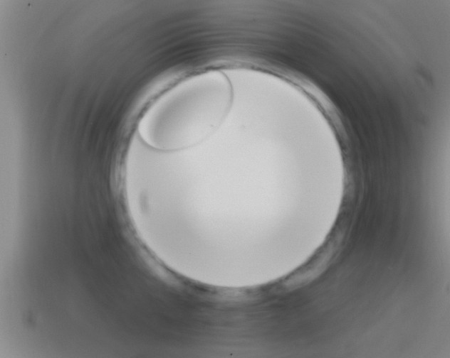 X0000114610807200910200939