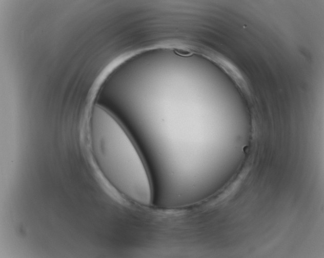 X0000114610808200910200939