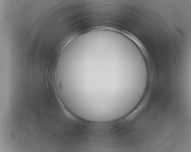 X0000114610809200910200939