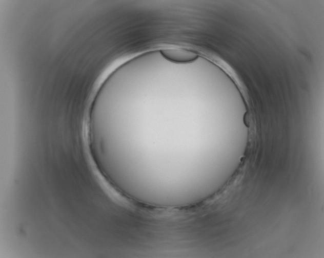 X0000114610811200910200939