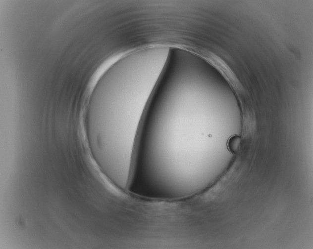 X0000114610812200910200939