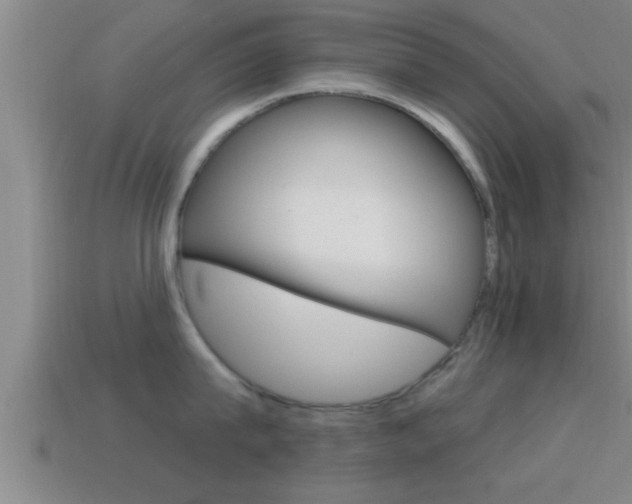 X0000114610815200910200939