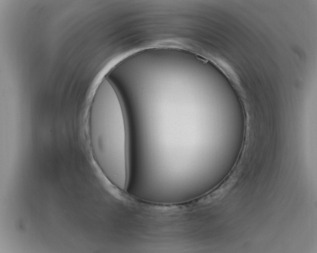 X0000114610816200910200939
