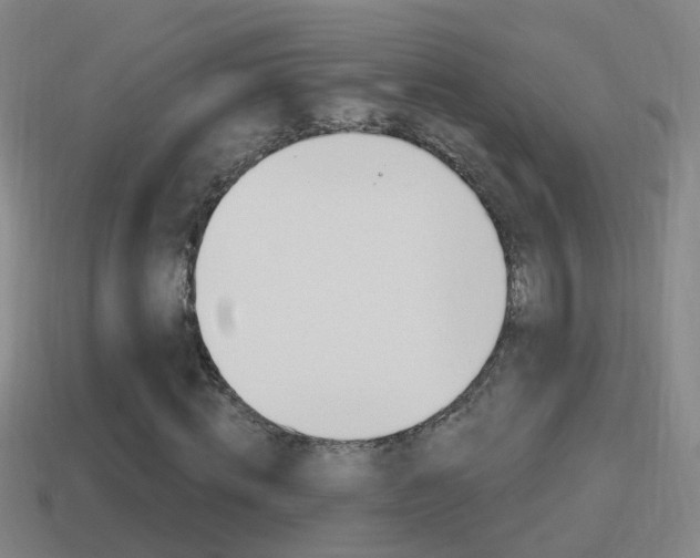 X0000114610820200910200938