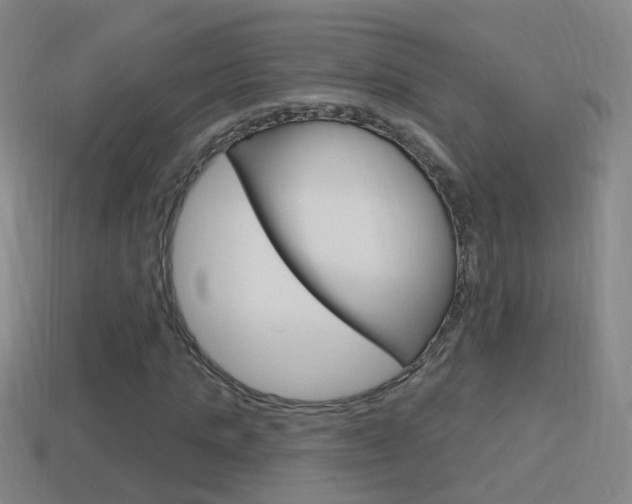 X0000114610821200910200938