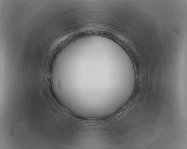 X0000114610822200910200938