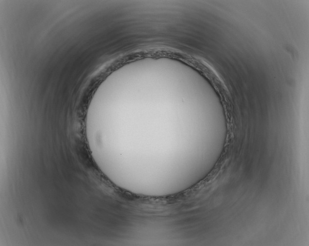 X0000114610823200910200938