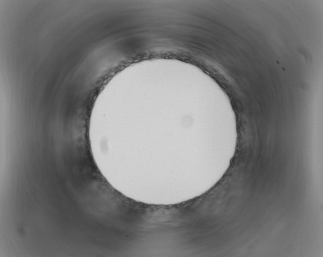 X0000114610824200910200938