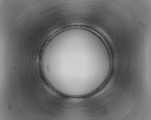 X0000114610825200910200938