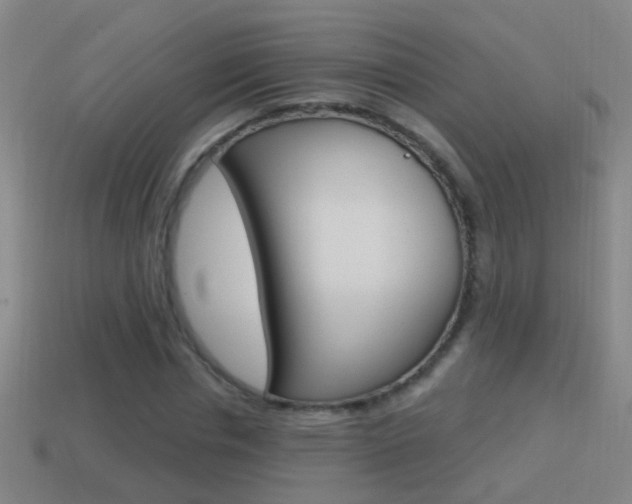 X0000114610826200910200938