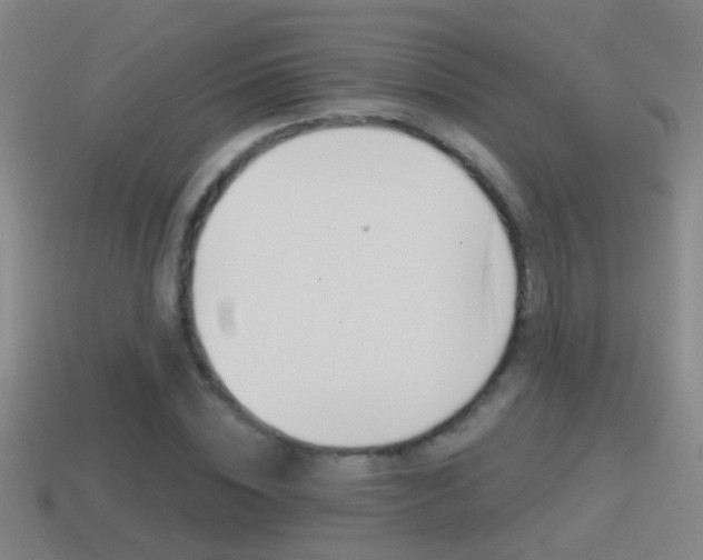 X0000114610828200910200938