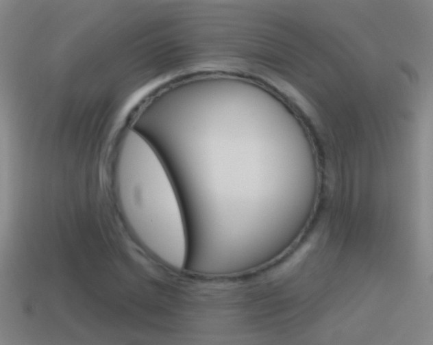 X0000114610830200910200938