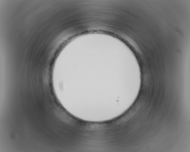 X0000114610832200910200938