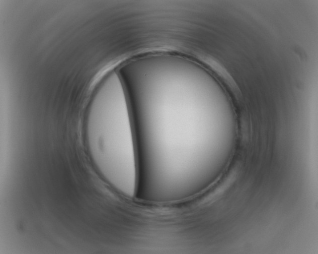 X0000114610834200910200938