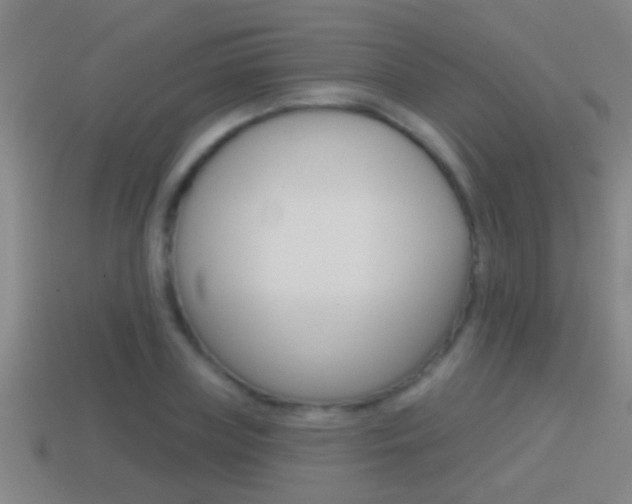 X0000114610835200910200938