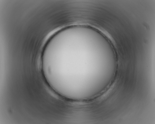 X0000114610838200910200938