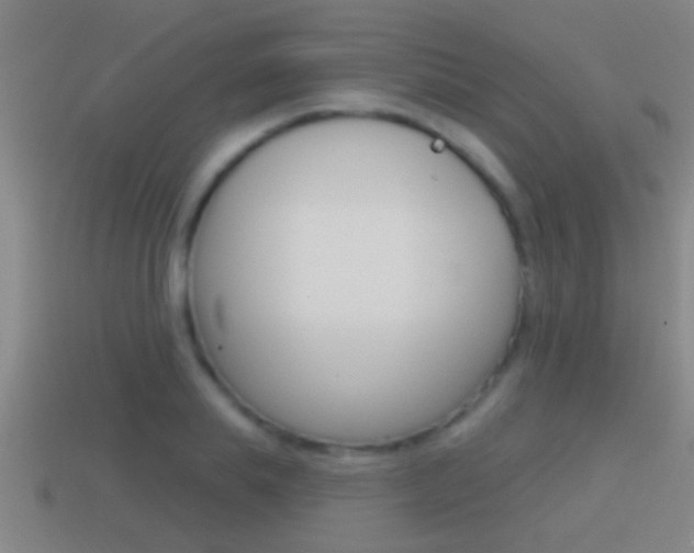X0000114610839200910200938