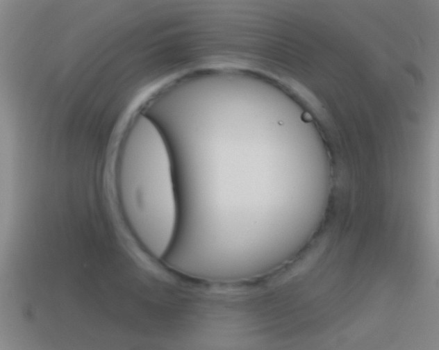 X0000114610840200910200938