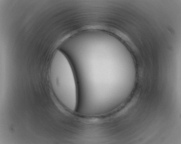 X0000114610841200910200938
