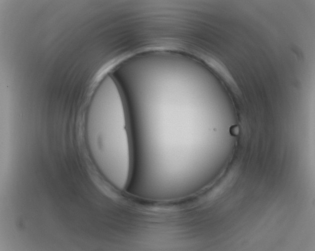 X0000114610842200910200938