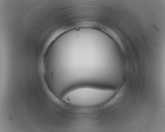 X0000114610843200910200938