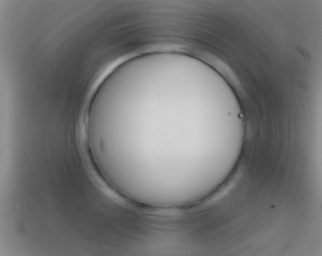 X0000114610844200910200938