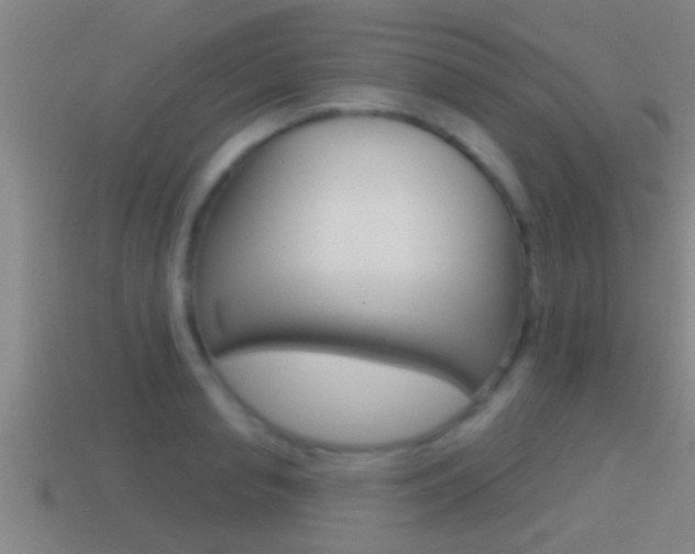 X0000114610845200910200938