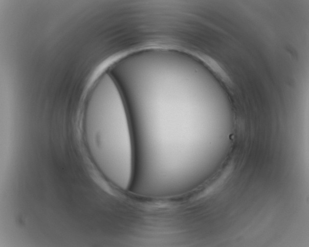 X0000114610846200910200938