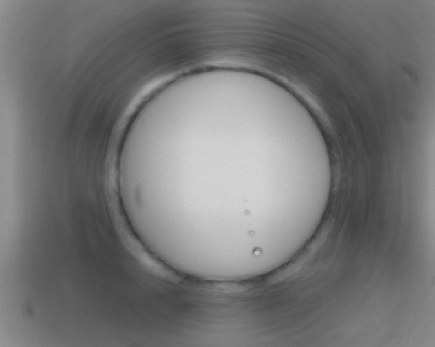 X0000114610848200910200938