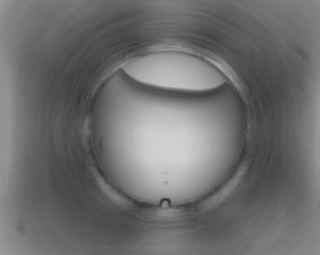 X0000114610849200910200938