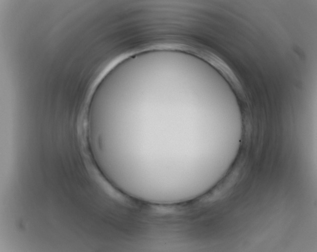 X0000114610852200910200938