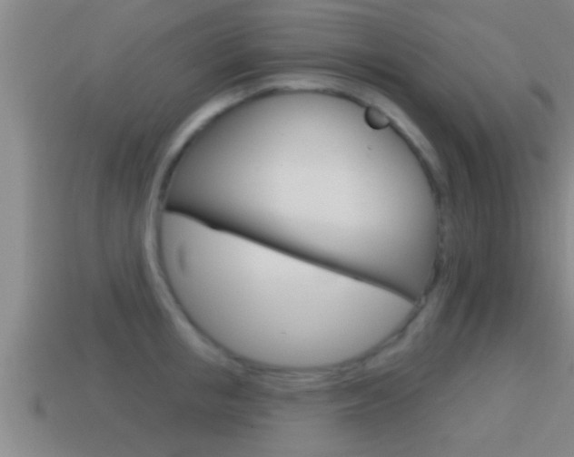 X0000114610853200910200938