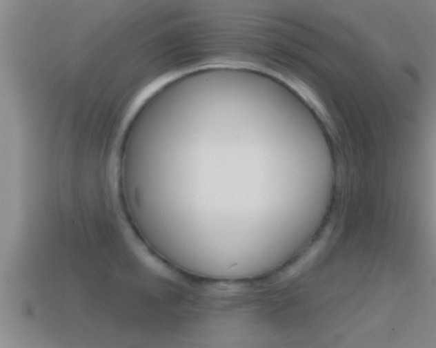 X0000114610854200910200938
