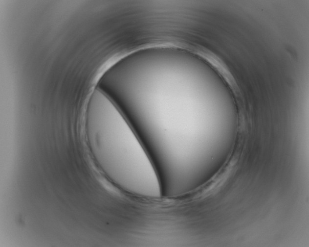 X0000114610858200910200938