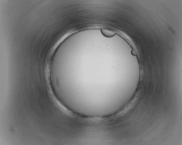 X0000114610859200910200938