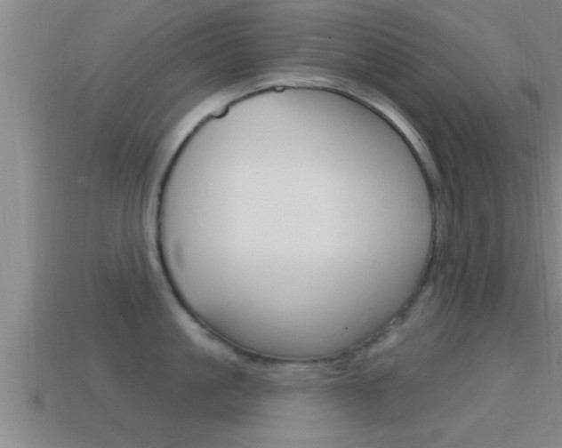 X0000114610861200910200939