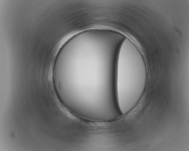 X0000114610862200910200939