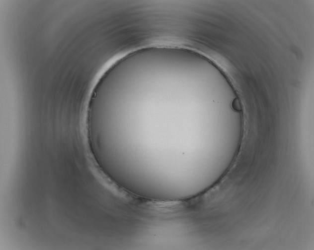 X0000114610864200910200939