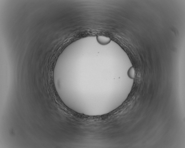 X0000114610865200910200938